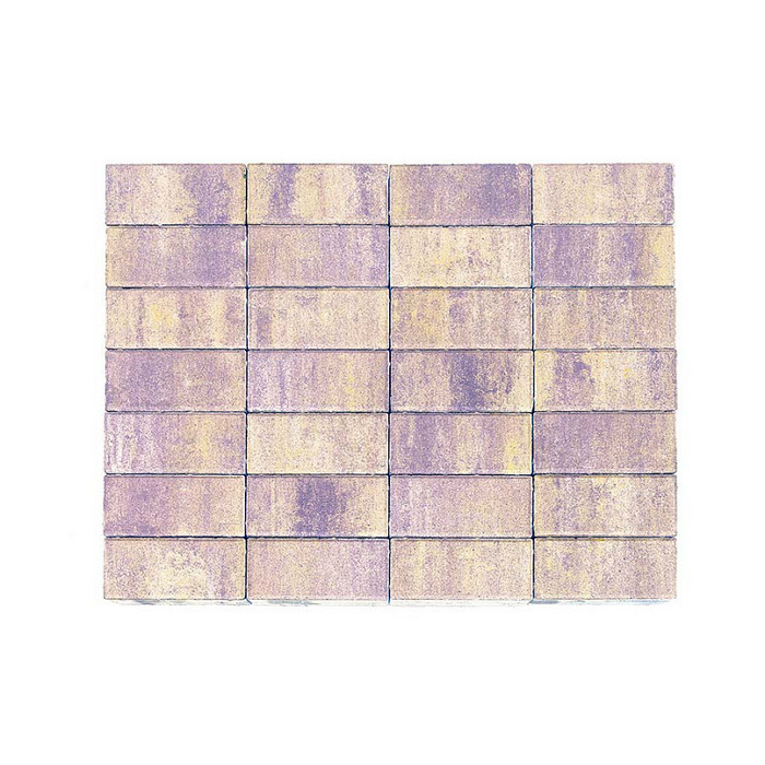 Брусчатка Braer Прямоугольник (кирпич) ColorMix 200х100х60 мм Прайд фото 3