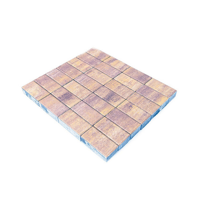 Брусчатка Braer Прямоугольник (кирпич) ColorMix 200х100х60 мм Прайд фото 2