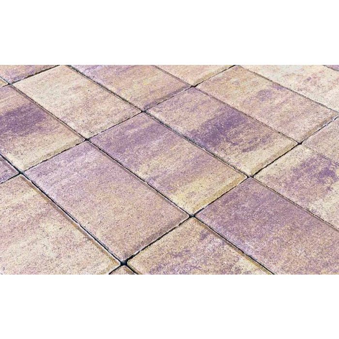 Брусчатка Braer Прямоугольник (кирпич) ColorMix 200х100х40 мм Прайд