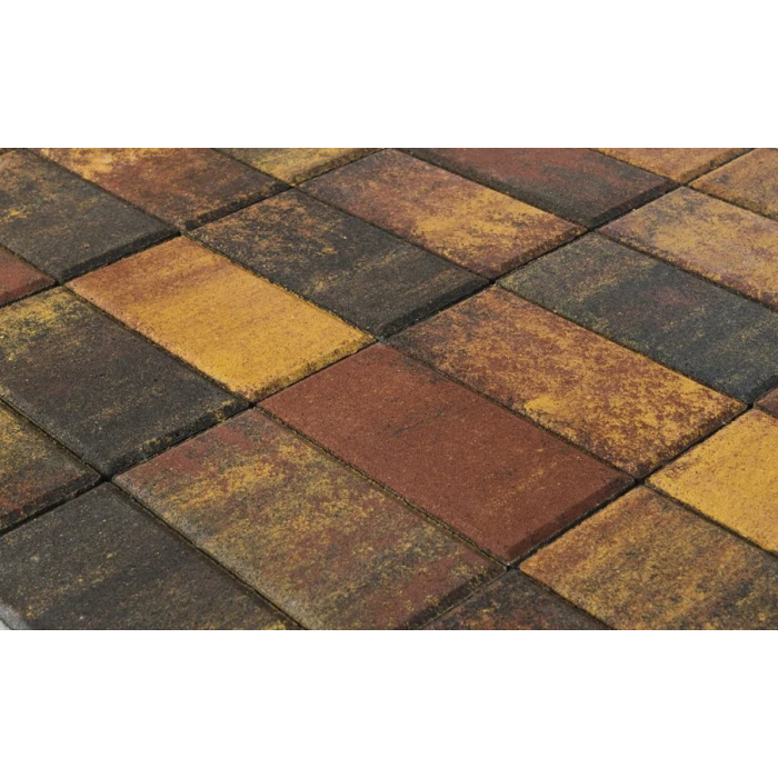 Брусчатка Braer Прямоугольник ColorMix 200х100х60мм цвет Мальва