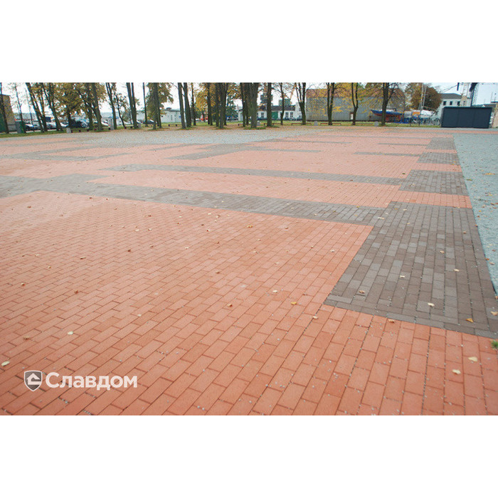 Тротуарная клинкерная брусчатка Penter Baltic Klinker Pavers Classic, 200*100*52 мм фото 4