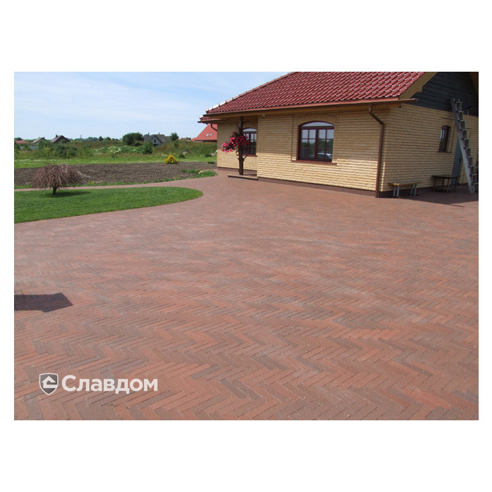 Тротуарная клинкерная брусчатка Penter Baltic Klinker Pavers Nuance, 250*60*52 мм фото 2