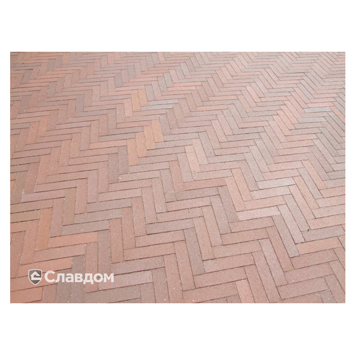 Тротуарная клинкерная брусчатка Penter Baltic Klinker Pavers Nuance, 250*60*52 мм фото 6